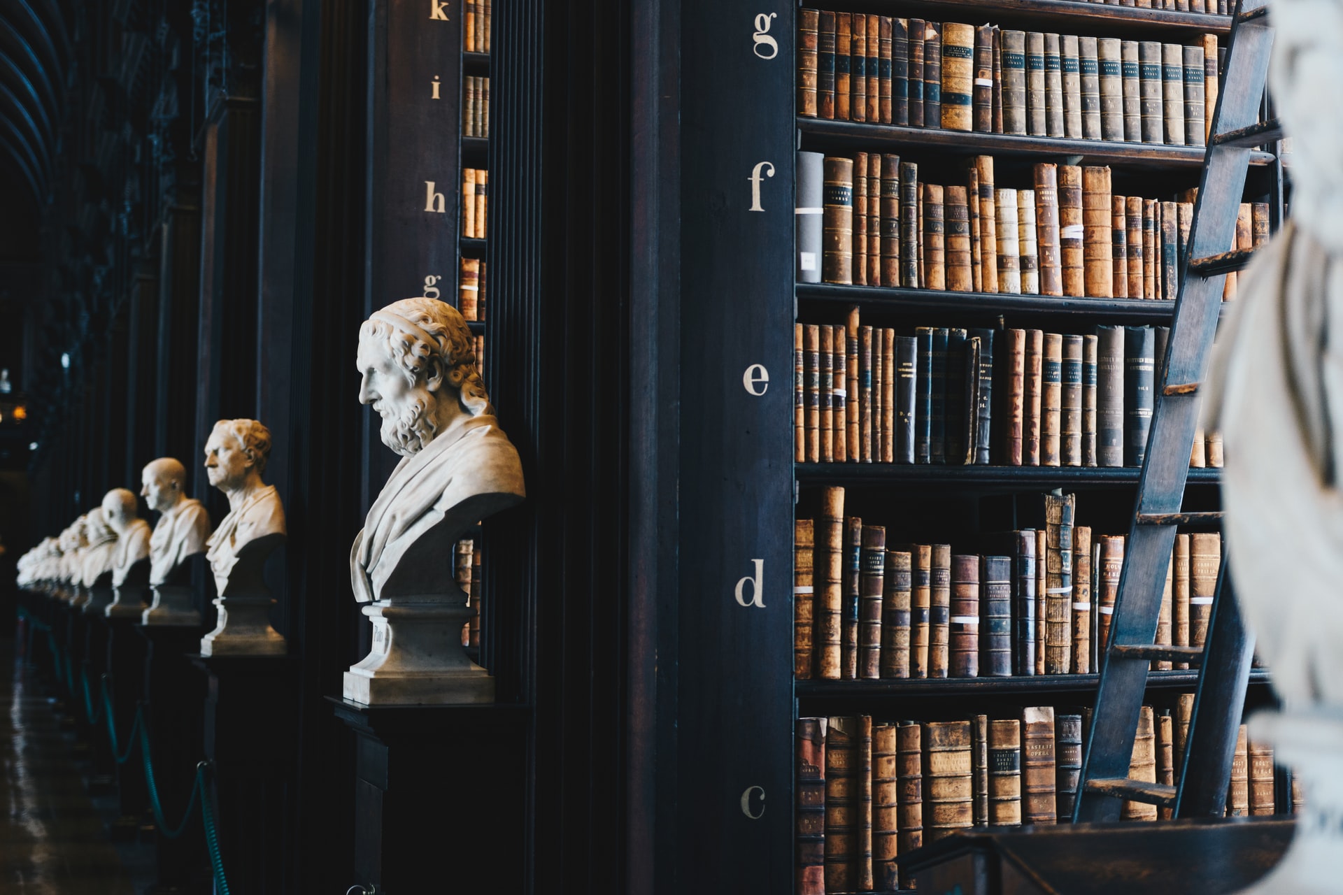 Library containing law books and busts